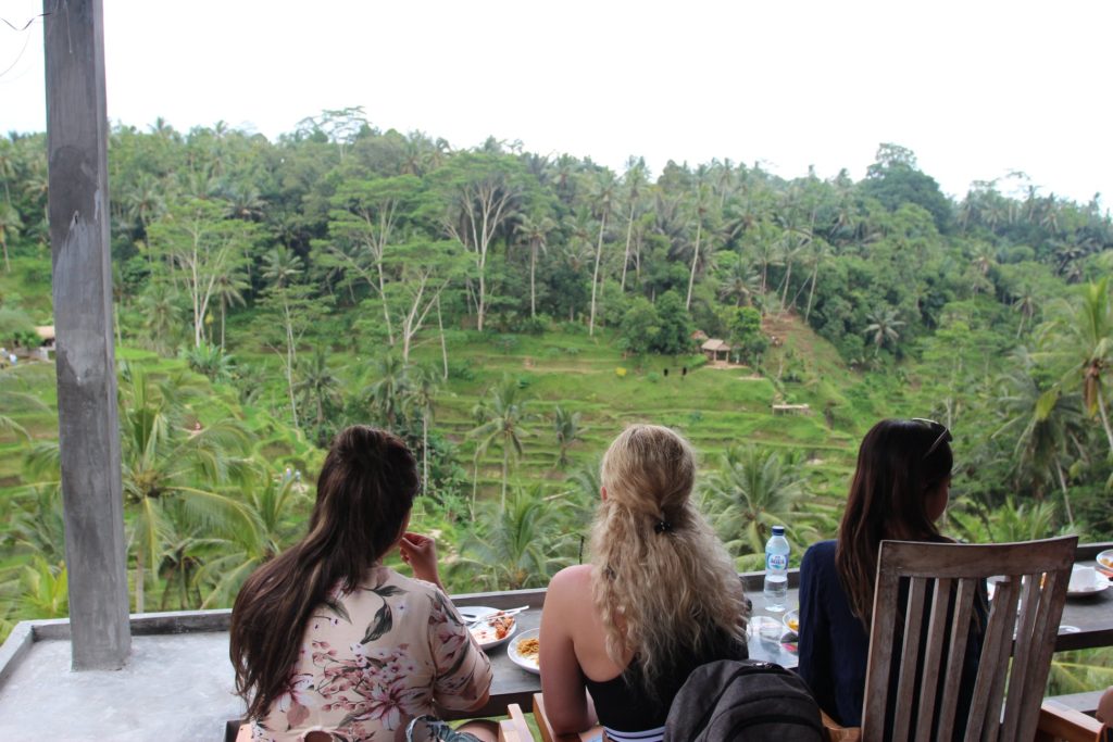 Things to do in Bali: Tegallalang Rice Terraces