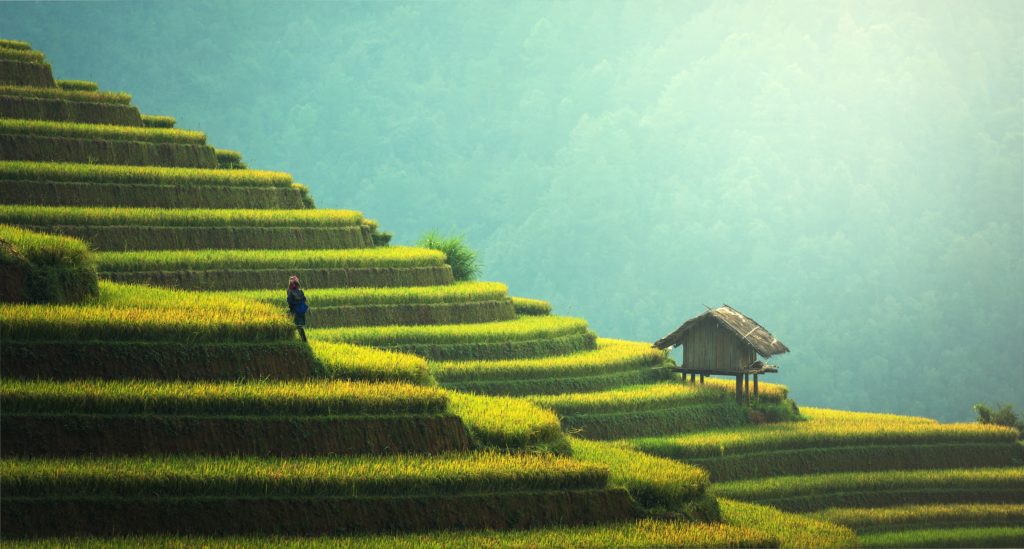 Why Asia Is A Must For Any Traveller