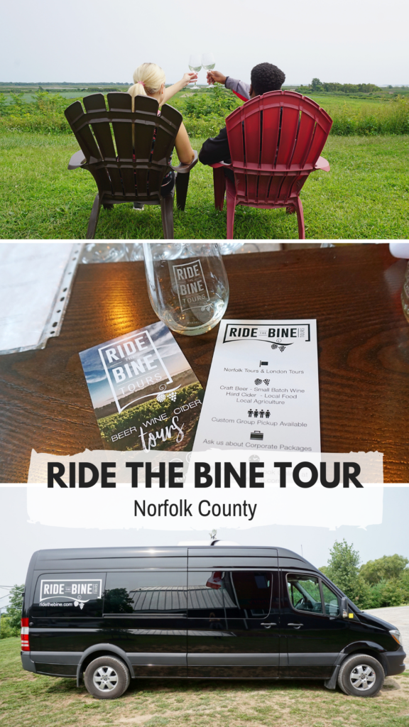 Things to do in Norfolk County: Ride the Bine Tour