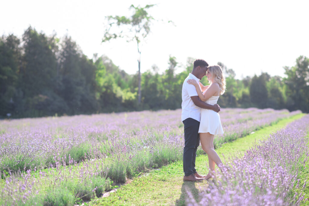 Our Engagement Pictures - Terre Bleu Lavender Farm